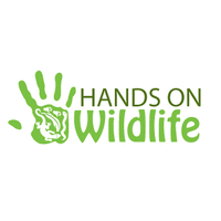 Hands on Wildlife logo, Hands on Wildlife contact details