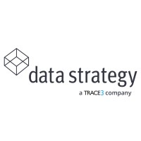 Data Strategy logo, Data Strategy contact details