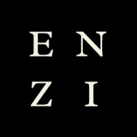 ENZI Wealth logo, ENZI Wealth contact details