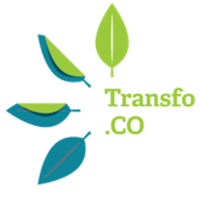 Transfo.Co - Au coeur de la Transformation logo, Transfo.Co - Au coeur de la Transformation contact details