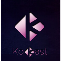 KoKast Inc. logo, KoKast Inc. contact details