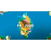 PROJUGO logo, PROJUGO contact details