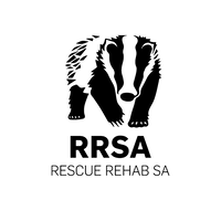 Rescue Rehab South Africa logo, Rescue Rehab South Africa contact details