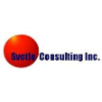 Svetlo Consulting logo, Svetlo Consulting contact details