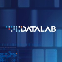 Datalab Consulting logo, Datalab Consulting contact details