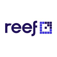 Reef Digital Agency logo, Reef Digital Agency contact details