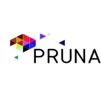 Pruna Industries Private Limited logo, Pruna Industries Private Limited contact details