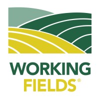 Working Fields logo, Working Fields contact details