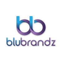 BluBrandz Technologies Pvt. Ltd. logo, BluBrandz Technologies Pvt. Ltd. contact details