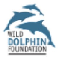 Wild Dolphin Foundation logo, Wild Dolphin Foundation contact details