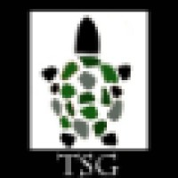 The Turtlestone Group logo, The Turtlestone Group contact details