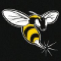 Wasp Security LTD logo, Wasp Security LTD contact details