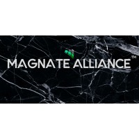 MAGNATE ALLIANCE STRATEGIES INC logo, MAGNATE ALLIANCE STRATEGIES INC contact details