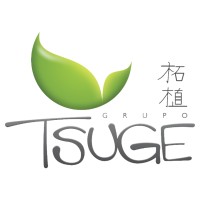 Grupo Tsuge logo, Grupo Tsuge contact details