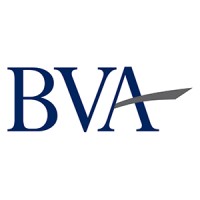 Bay Valuation Advisors LLC logo, Bay Valuation Advisors LLC contact details