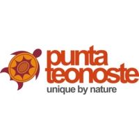 Hotel Punta Teonoste logo, Hotel Punta Teonoste contact details