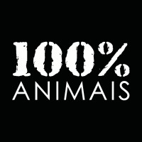 INSTITUTO 100% ANIMAIS logo, INSTITUTO 100% ANIMAIS contact details