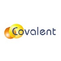 Covalent Projects & Engineering Private Limited logo, Covalent Projects & Engineering Private Limited contact details