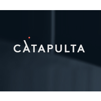 Catapulta Business Advisor logo, Catapulta Business Advisor contact details