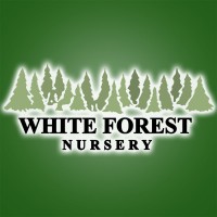 White Forest Nursery logo, White Forest Nursery contact details