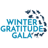 Winter Gratitude Gala logo, Winter Gratitude Gala contact details