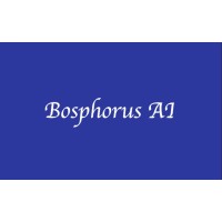 Bosphorus AI logo, Bosphorus AI contact details