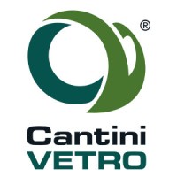 CANTINI VETRO S.R.L. logo, CANTINI VETRO S.R.L. contact details