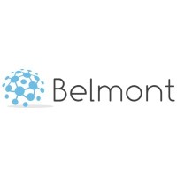 Belmont Executive Search logo, Belmont Executive Search contact details