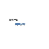 Tetima North America LLC logo, Tetima North America LLC contact details