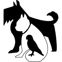 COUNTY ANIMAL HOSPITAL, INC. logo, COUNTY ANIMAL HOSPITAL, INC. contact details