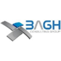 Bagh Consulting Group logo, Bagh Consulting Group contact details