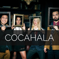 COCAHALA logo, COCAHALA contact details