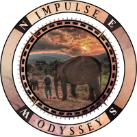 Impulse Odyssey logo, Impulse Odyssey contact details