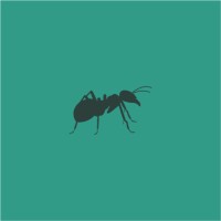 The Smallest Ant logo, The Smallest Ant contact details