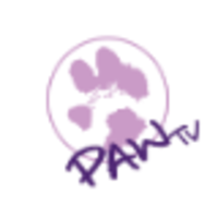 Pet Adoption World TV ( PAW TV ) logo, Pet Adoption World TV ( PAW TV ) contact details