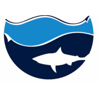 Shark Share Global logo, Shark Share Global contact details