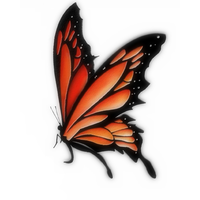 Chrysalis Wellness Coaching logo, Chrysalis Wellness Coaching contact details