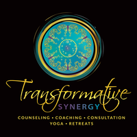 Transformative Synergy logo, Transformative Synergy contact details