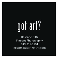 Rosanne Nitti Fine Arts logo, Rosanne Nitti Fine Arts contact details