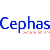 Cephas Picture Library Ltd logo, Cephas Picture Library Ltd contact details