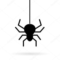 SpiderWeb logo, SpiderWeb contact details