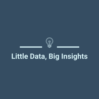 Little Data, Big Insights logo, Little Data, Big Insights contact details