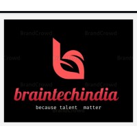 BRAIN TECH INDIA logo, BRAIN TECH INDIA contact details