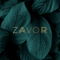 Zaavorr logo, Zaavorr contact details