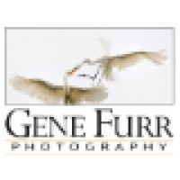 Gene Furr Photography logo, Gene Furr Photography contact details