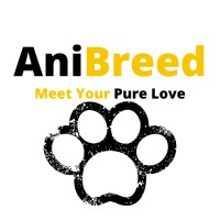 AniBreed logo, AniBreed contact details