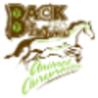 Back in the Game Animal Chiropractic logo, Back in the Game Animal Chiropractic contact details