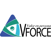 VForce Mexico logo, VForce Mexico contact details