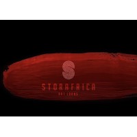 STORAFRICA logo, STORAFRICA contact details