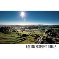 Bay Investment Group Limited logo, Bay Investment Group Limited contact details